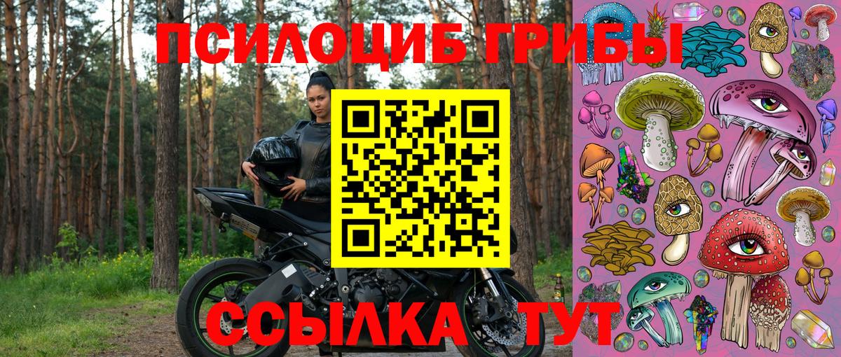 Галлюциногенные грибы мухоморы Электрогорск